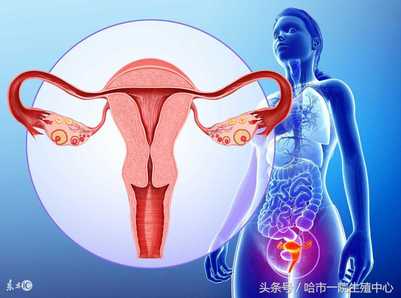 输卵管被切除能做试管婴儿吗？