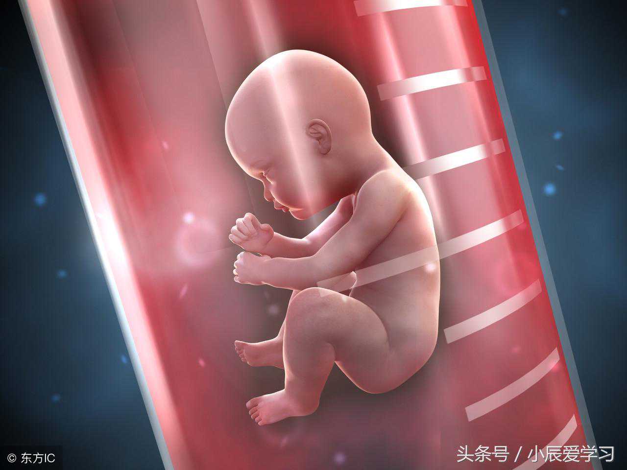 “试管婴儿”40年：技术演变和争议