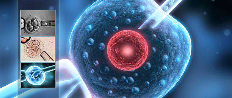 男性在准备试管婴儿需要注意哪些方面？