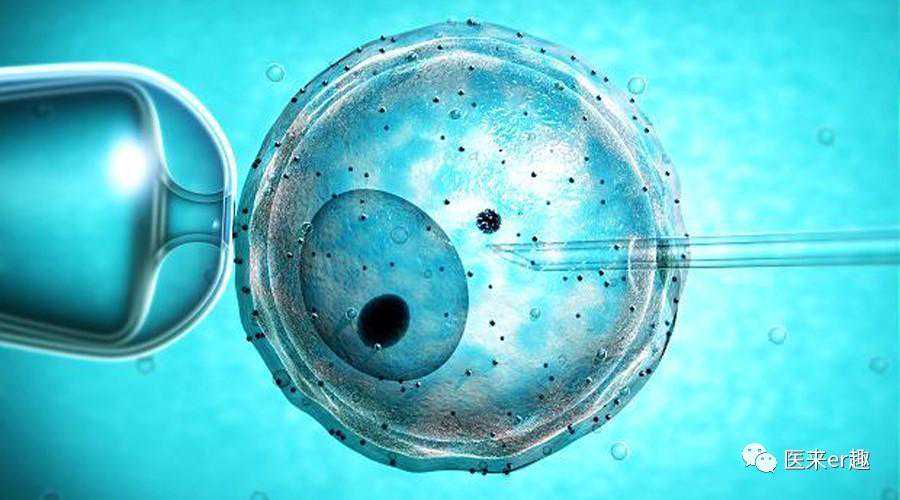 门诊随笔：试管婴儿患者关注这6个问题