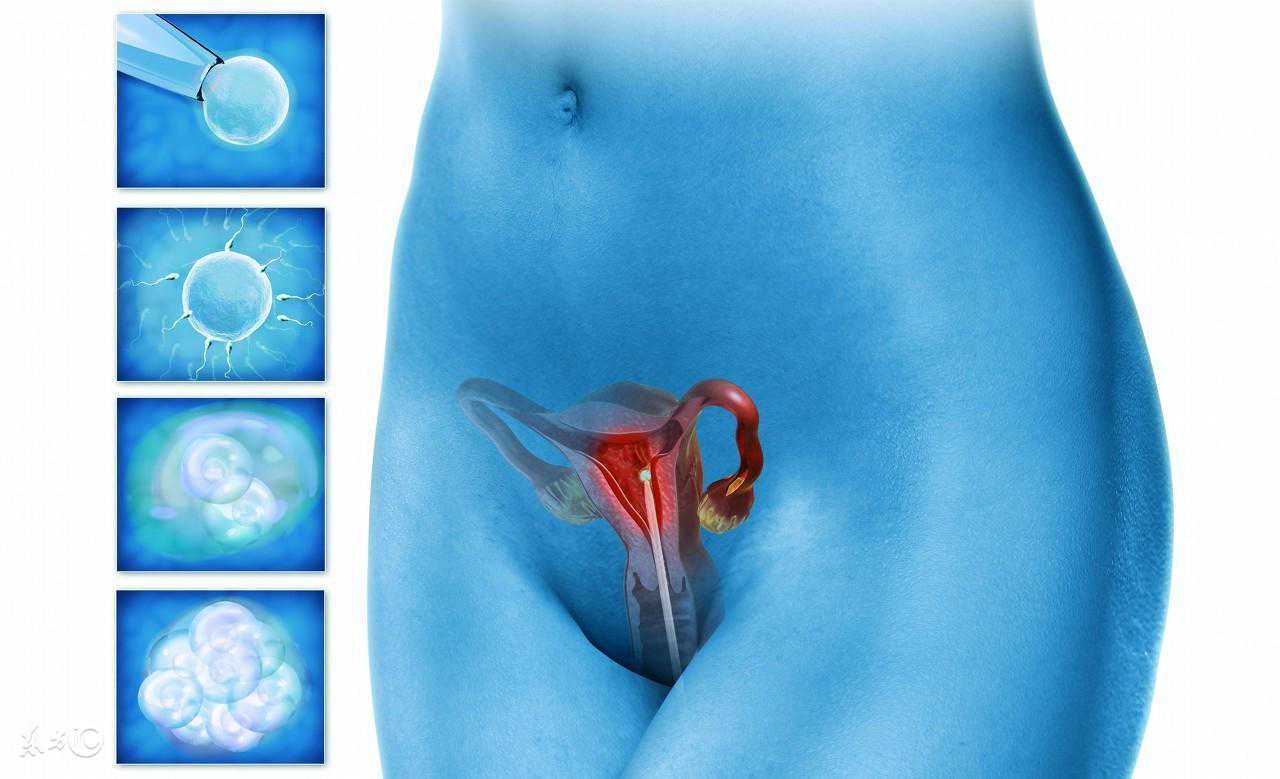 试管婴儿囊胚移植没着床的原因是什么？