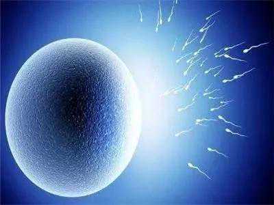 哪些男方因素的不育症需要做“试管婴儿”？