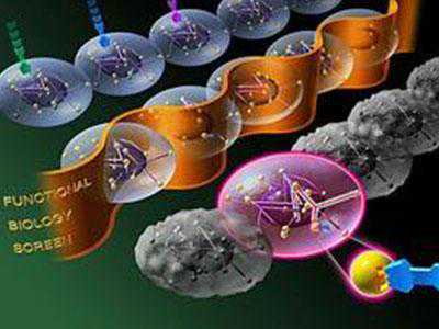 怎么那么多人去泰国做第三代试管婴儿