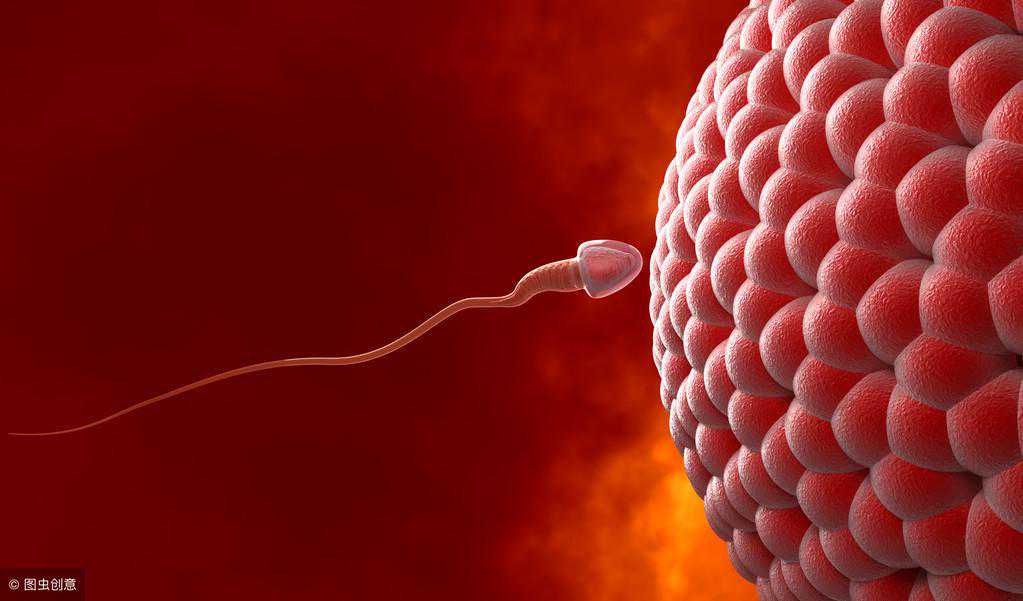 做试管婴儿前，男性需要做哪些准备？准爸爸：取精过程很尴尬