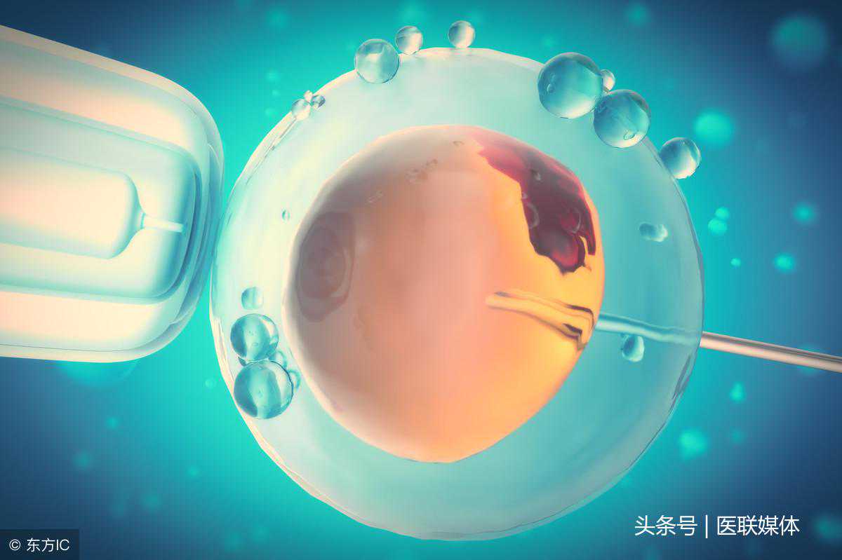 做试管婴儿失败后想要再移植？切勿心急，得休养一段时间了