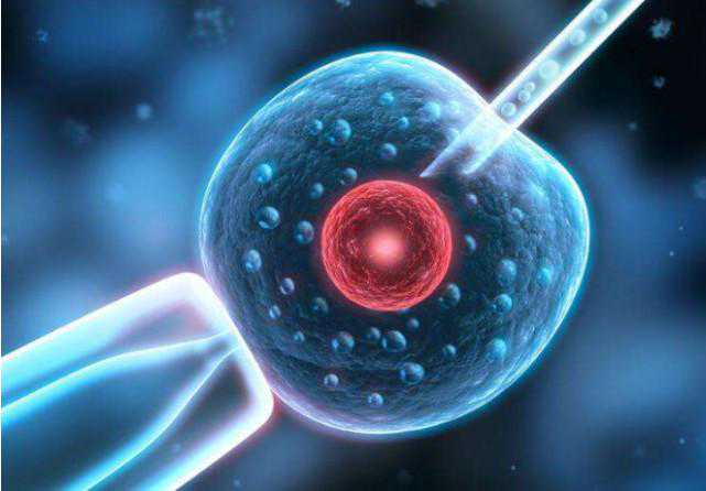 做试管婴儿有哪些弊端，你知道多少，国内成功率不到30%！