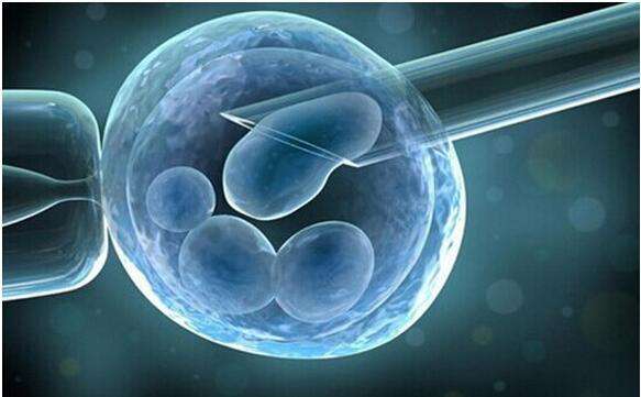 做试管婴儿的女性，这样吃东西，可能一次就能成功产下宝宝！
