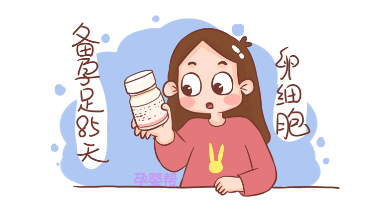 为什么备孕需要三个月？真实原因是这样的，比你想的科学多了