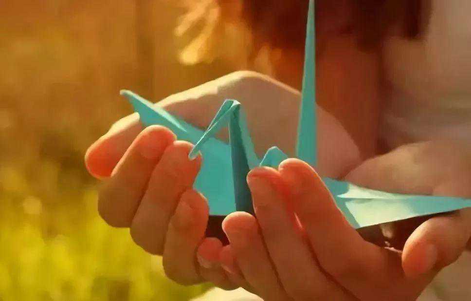 血泪备孕路4：内膜局灶复杂性增生，试管计划又遥遥无期了