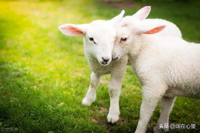 怀孕期间，你们都做过哪些奇怪的“胎梦”？