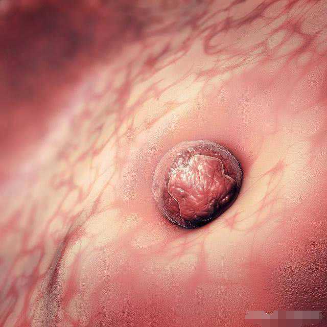 备孕时，若身体出现这4个“变化”，恭喜你，受精卵着床成功了！