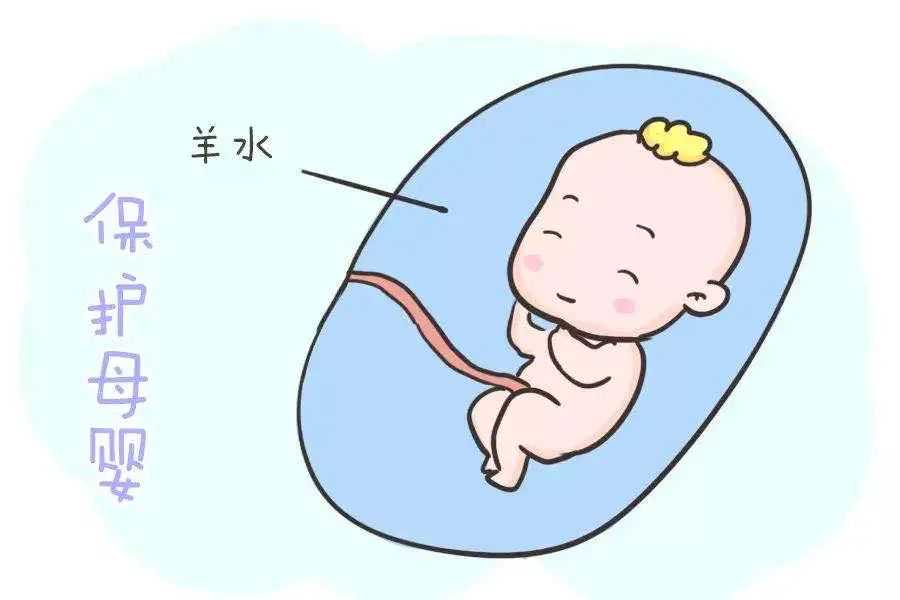 「护理科普」孕期“羊水”，你了解多少？