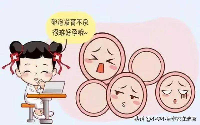 备孕路上的障碍：为什么卵泡长不大？