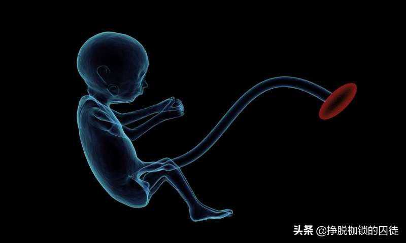 怀孕不喝酒喝酒不怀孕：围受孕期喝酒破坏胎盘生成，影响胎儿发育