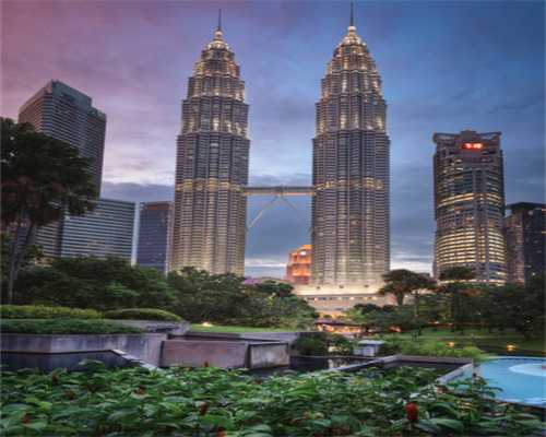 胚胎是什么颜色的