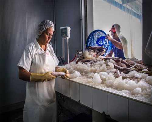 孕前检查下午可以做吗