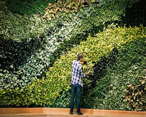 什么样的患者可以进行肝移植手术