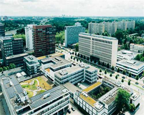 肾移植手术患者应该吃什么好