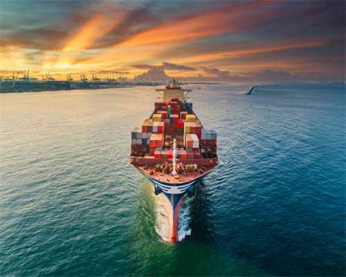 为什么减不下去肥?