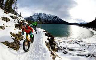 人工受孕与试管婴儿的区别