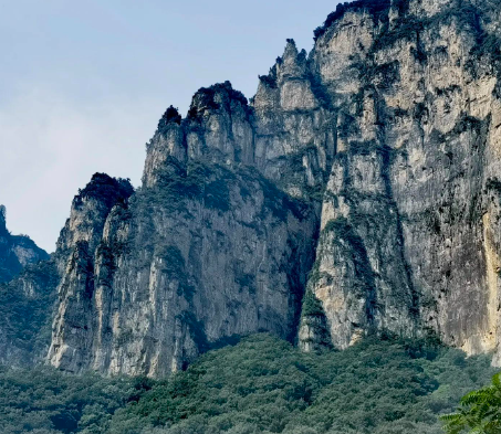 接种新冠疫苗后多久才能要宝宝？临沂市妇幼保健院给出权威解答